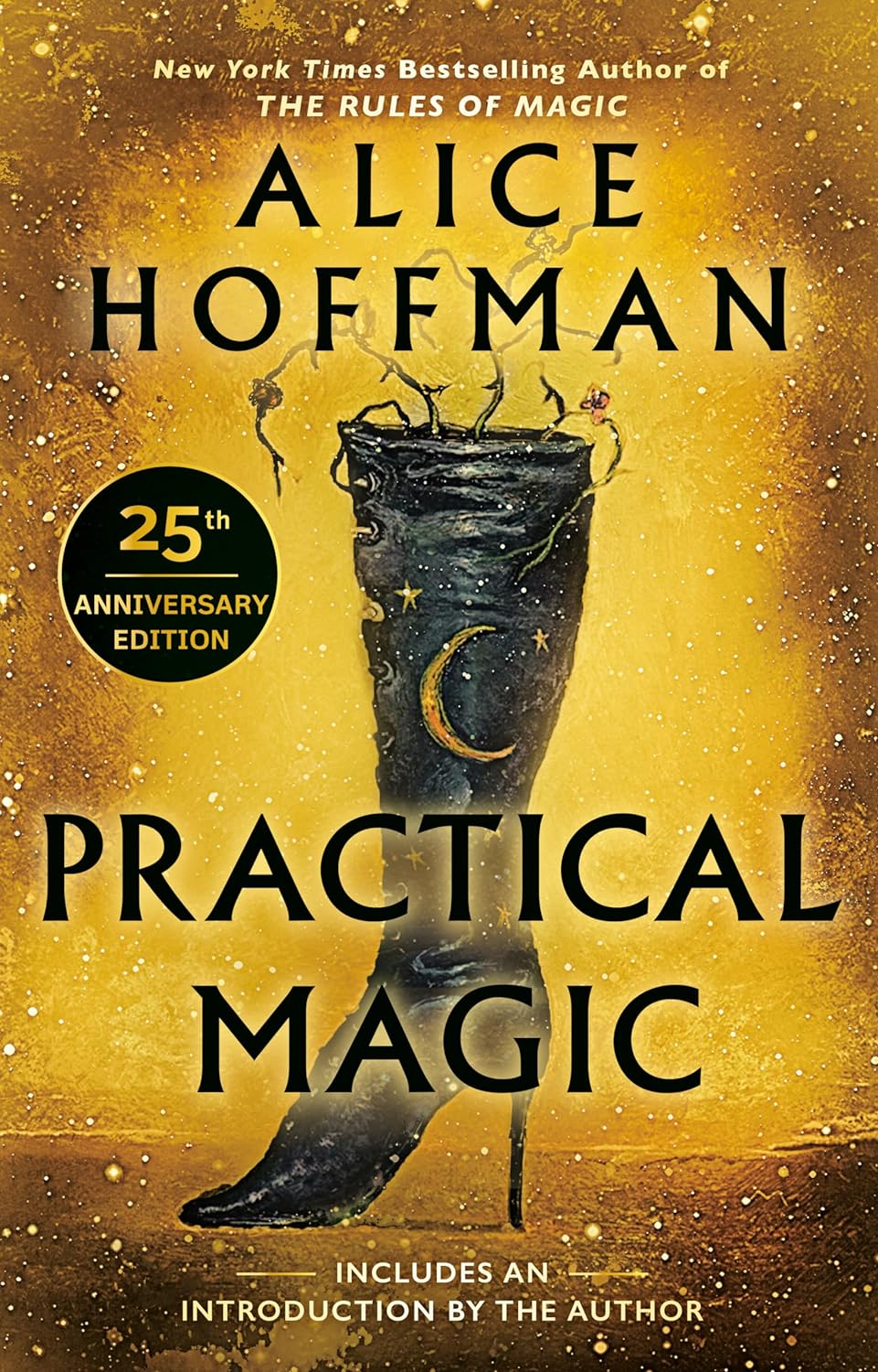 Practical Magic by Alice Hoffman&nbsp;3.5/5