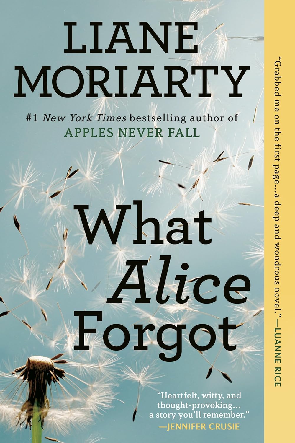 What Alice Forgot by Liane Moriarty&nbsp;3.5/5