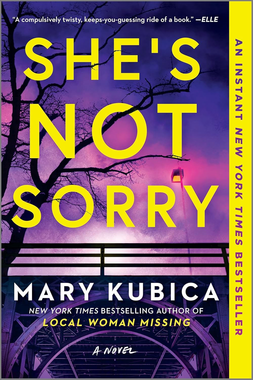 She's not Sorry book by Mary Kubica