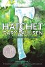 Hatchet book by Gary Paulsen
