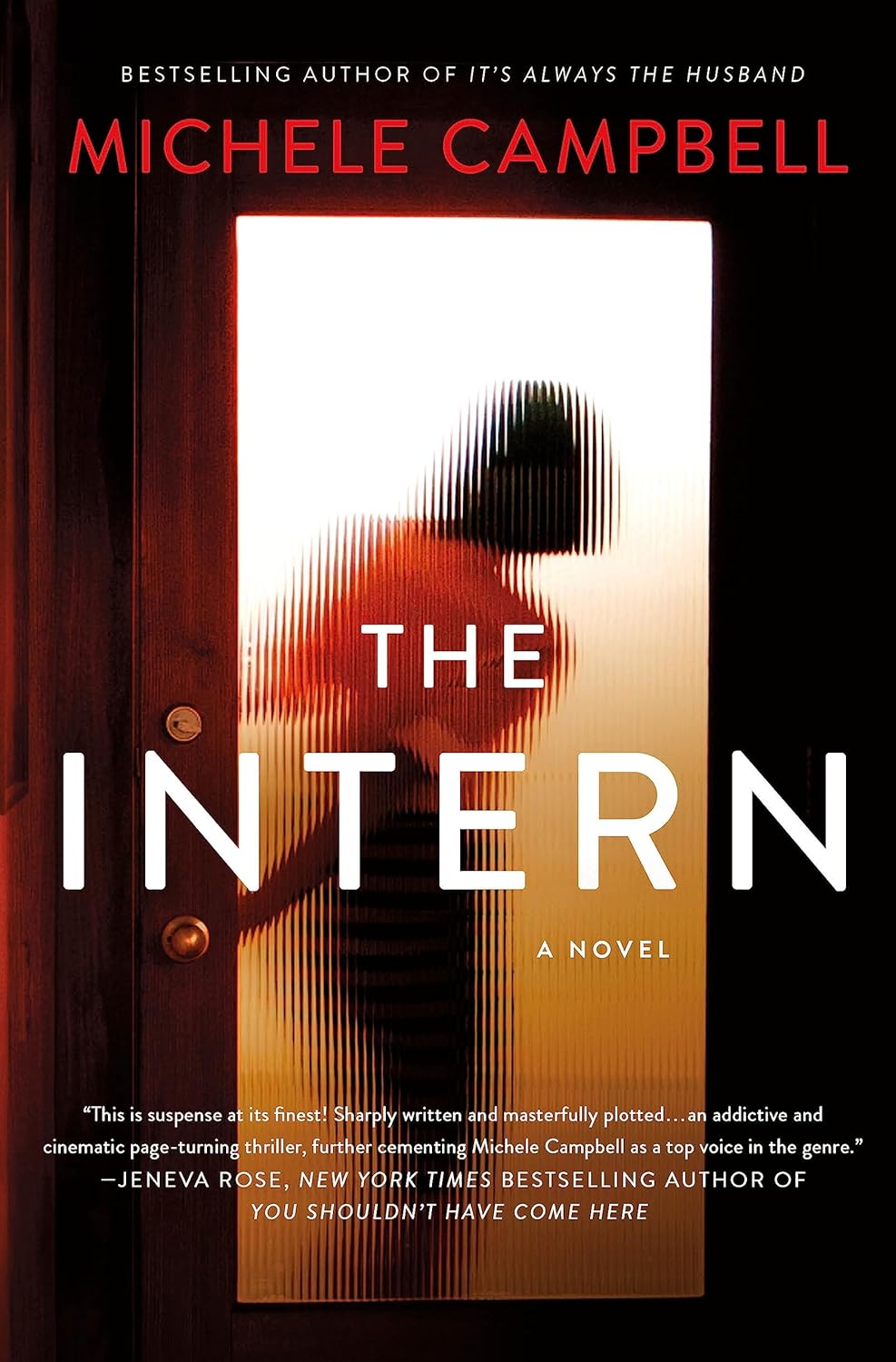 The Intern book by Michelle Campbell