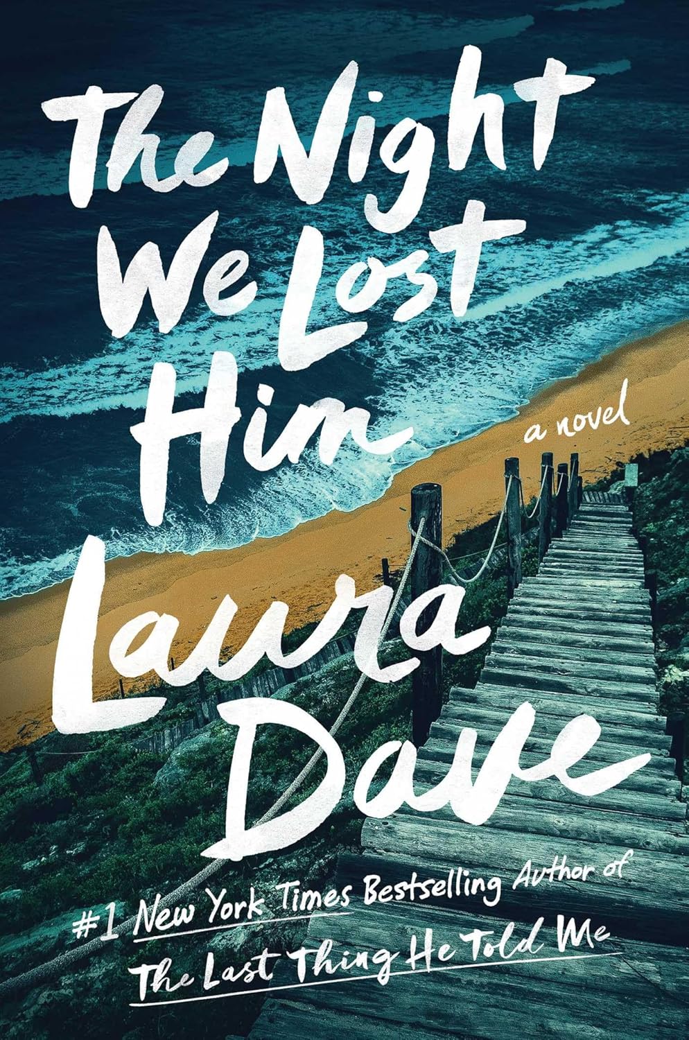 The Night we lost him book by Laura Dave