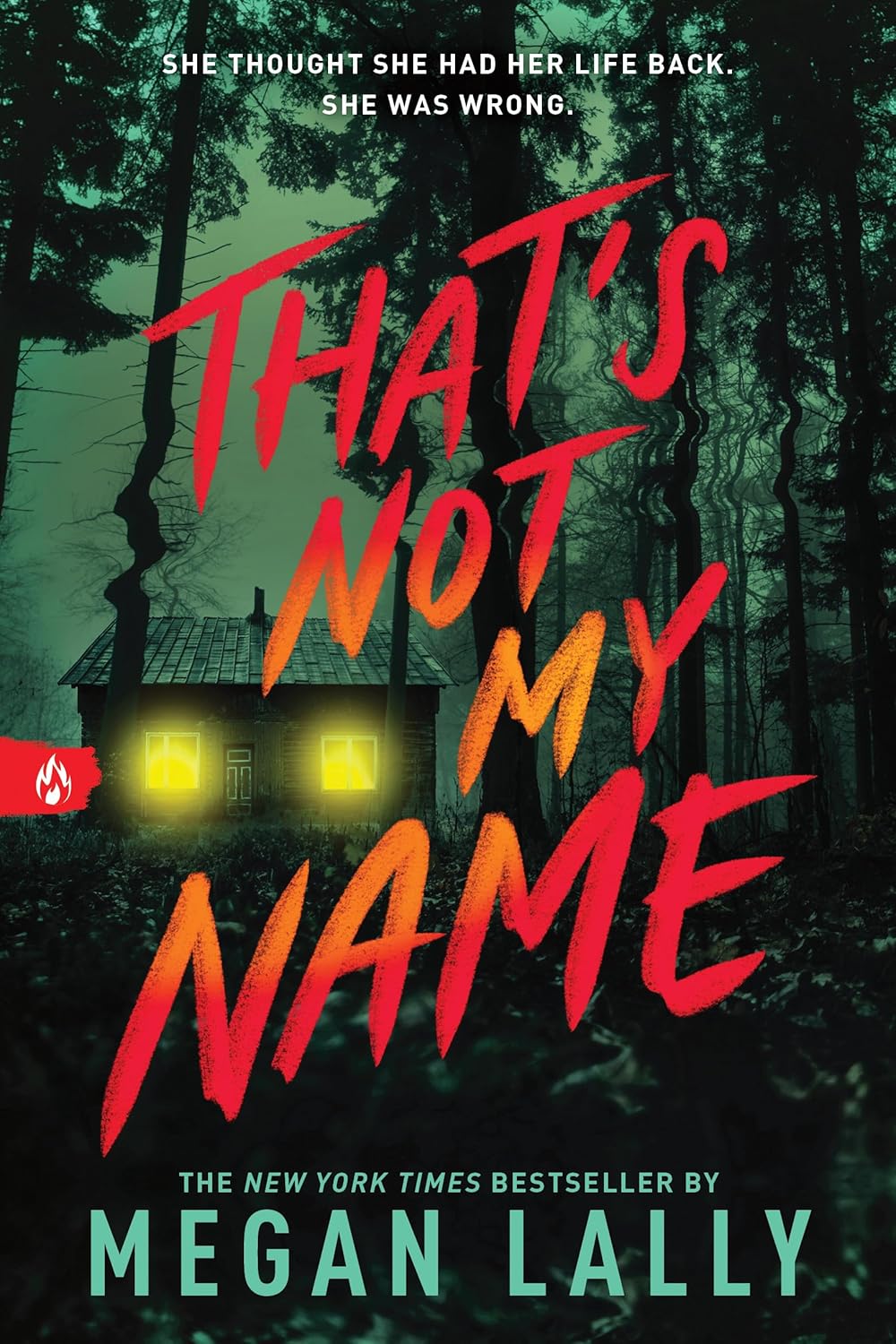 Thats Not my Name book by Megan Lally