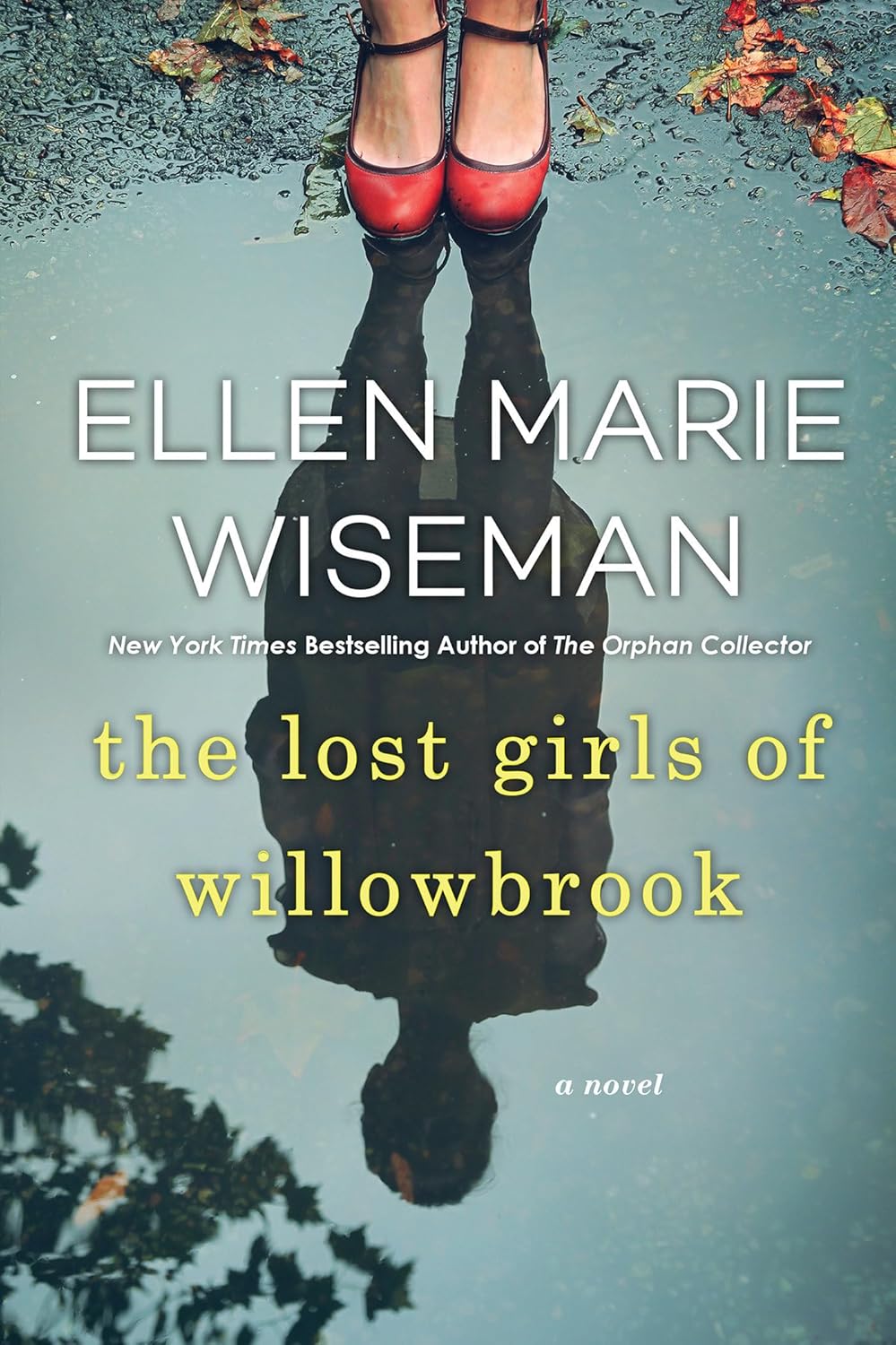 The Lost Girls of Willowbrook book by Ellen Marie Wiseman