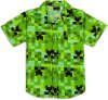 Minecraft shirt